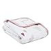 aden + anais Classic Stroller Blanket, 100% Cotton Muslin, 4 Layer Lightweight and Breathable, 27.5 X 27.5 inch, Heartbreaker