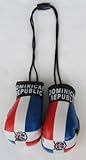 Dominican Republic - Mini Boxing Gloves