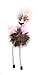 Petlinks HappyNip Loony Legs Ostrich Feather Cat Toy, Contains Silvervine & Catnip - Brown/Pink, One Size