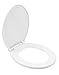 LDR Industries 050 1020WT-A Antimicrobial Plastic Toilet Seat for Round Toilets, White