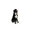 Pawz Dog Boots XXS - Black  12 pack