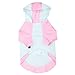Blueberry Pet Cotton Dog Camera Hoodie in Mint & Hot Pink for Puppy, Back Length 8