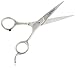 Sally Hansen Beauty Tools Do Your 'do Styling Shears