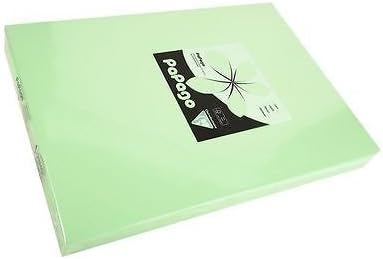 160 GSM A4 PAPAGO Printer Copier Paper x 500 Sheets - 2 Reams of 250 Sheets - Apple Green