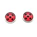 Miraculous Ladybug Earrings Charm Stud Stainless Steel Chat Noir Cosplay Costume Rena Rouge Volpina
