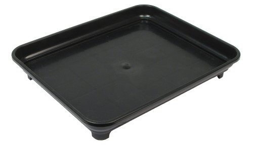 Eve's Bonsai Humidity Drip Tray 10