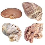 Nasco Pig Organ Set - Dissection & Science Education Materials - LS03496