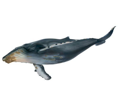 schleich whale
