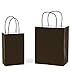 GIFT EXPRESSIONS White & Black Kraft Paper Bags, Kraft gift Bag, Premim Quality Paper (STURDY & THICKER), BIODEGRADABLE, Party Bags, Shopping Bag, Kraft Bags (12 CT Medium, Black)