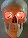 Dead Head Props 24 inch, Battery Operated, Red Led Eyes For Masks, Skulls and Halloween Props