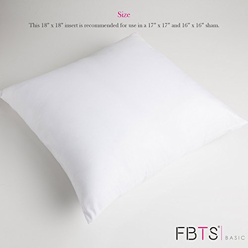 Pillow Inserts 18 x 18 Square 2-Pack Sham Stuffer Premium Hypoallergenic Form Polyester for Decorative Cushion Indoor Sofa and Bed Pillows by FBTS Basic
