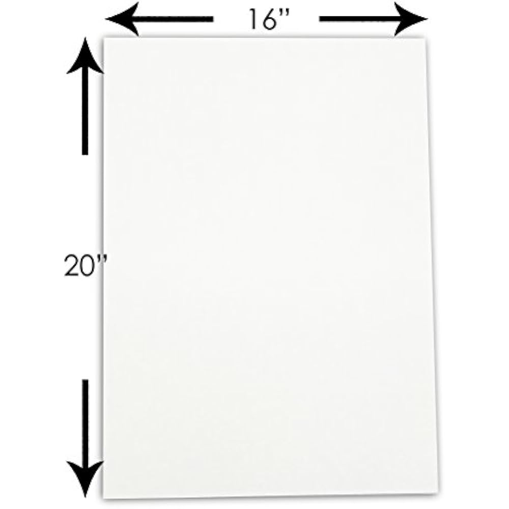 TheDisplayGuys 10Pack Uncut AcidFree Picture Mat Backing Boards 16x20
