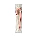 Spangler Jumbo Peppermint Sticks - 48 Count Case