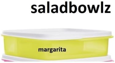 TUPPERWARE New LUNCH-IT DIVIDED CONTAINER 3 Sections! You Choose Color! (Magarita)