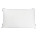 Simmons Beautyrest Beautyrest Latex Foam Pillow with Cover (Queen 2 Pack)