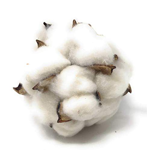 Amazon.com: 4 Inch Decorative Cotton Balls Bolls for Home Decor, Vase