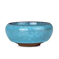 NATFUR 2.51.3 Flower Box Chinese Ice-Crack Ceramics Oval Succulent Planter Pots 1C09 | Color - Sky Blue