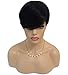 Ricawig Black Short Straight Hair Wig Heat Resistant Fiber Synthetic Full Wigs