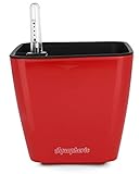 Aquaphoric Self Watering Planter (5”) + Fiber Soil = Foolproof Indoor Home Garden. Modern Decorative Planter Pot for All House Plants, Flowers, Herbs, African Violets, Succulents. Easy / Looks Great.