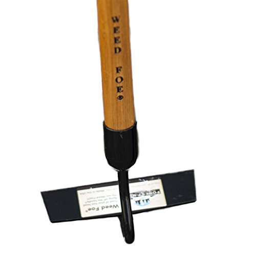 FOREST HILL Weed Foe Hardened and Tempered Spring Steel, Solid Ash Wood Handle Hoe (Crop, 2.75 x 8-inch) - Thumbnail 2