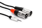 Hosa HMX-010Y 3.5 mm TRS to Dual XLR Pro Stereo Breakout Cable, 10 Feet