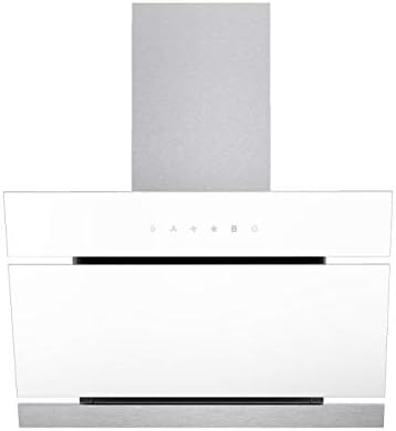 ASPES CAMPANA ACI1660B BLANCA INCLINADA 600m/3