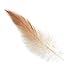 SBYURE 300pcs 6 Kinds of Feather Assorted for Various Crafts, Birthday Parties, Wedding and Dream Catcher Crafts