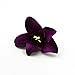 FLOWER 30pcs/lot Artificial Silk Orchid Heads for Wedding Decoration DIY Wreath Gift Scrapbooking Craft Supplies Fake (Purple)