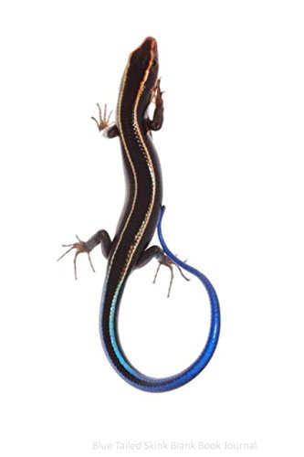 Blue Tailed Skink Blank Book Journal: Blank Book, 100 pages, lined.