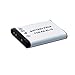 High Capacity Replacement Nikon EN-EL19 Battery with AC/DC Quick Charger Kit for Nikon Coolpix S3700, S2900, S6800, SS6500, S5300, S3600, S32, S100, S3100, S3200, S3300, S3500, S4100, S4200, S4300, S5200, S6400 Digital Cameras