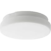 Quorum Lighting 8-21653 Reni 24-Watt LED Light Kit