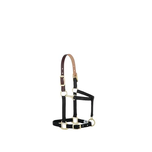 Weaver Leather Nylon Adjustable Breakaway Horse Halter, Average, Black