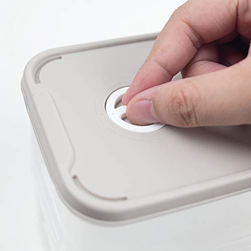 HANSGO Egg Holder, DeviledDispenser Container Egg Tray with Lid for 20 Small Eggs Egg Carrier Box