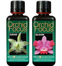 Growth Technology - Focus Range GT- Focus Range For Orchids Chillies, Specialist Plants, Fruits & Trees (100ml - Orchid Grow & Bloom)