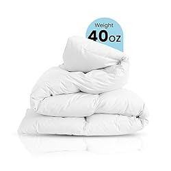 East Coast Bedding Cozy Dream Goose Down and