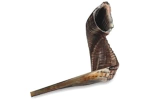 Kosher Shofar Ram's Horn Shofar Medium Size 33-35cm Polished Black / Dark