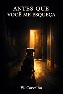 Livro Antes Que Você Me Esqueça: Uma história sobre crescer, perder e tudo o que a gente deixa para depois