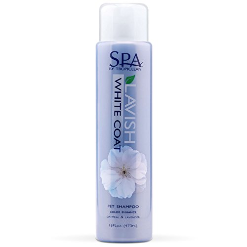 SPA by TropiClean White Coat Pet Shampoo, 16oz