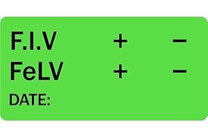F.I.V FeLV Veterinary Labels - 2’ x 1”, [500 Labels/1 Roll], Fluorescent Green | Blood Sample Stickers for Veterinary Clinics & Hospitals | LabelValue Brand