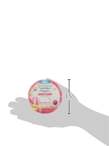 TORIE & HOWARD CANDY TIN PMGRNT & NECTRN 2OZ