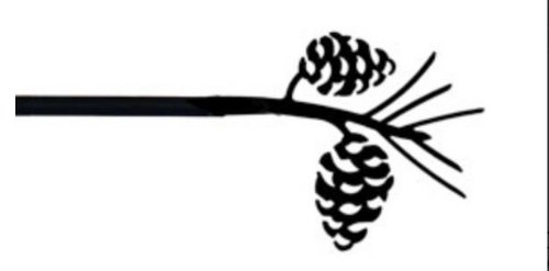 CUR-89-112 Pinecone Curtain Rod