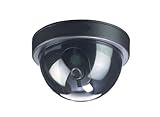 Lorex SG620CL/SG620F Imitation Dome Surveillance