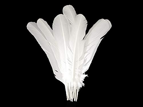 Moonlight Feather | 50 Pieces - Turkey Feathers - White Turkey Round Wing Quill Large Wholesale Feathers (Bulk) Halloween, Indian Craft, Wedding, Angel Wing Feathers