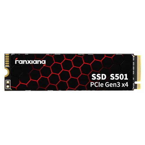 Fanxiang S501 NVMe M.2 SSD