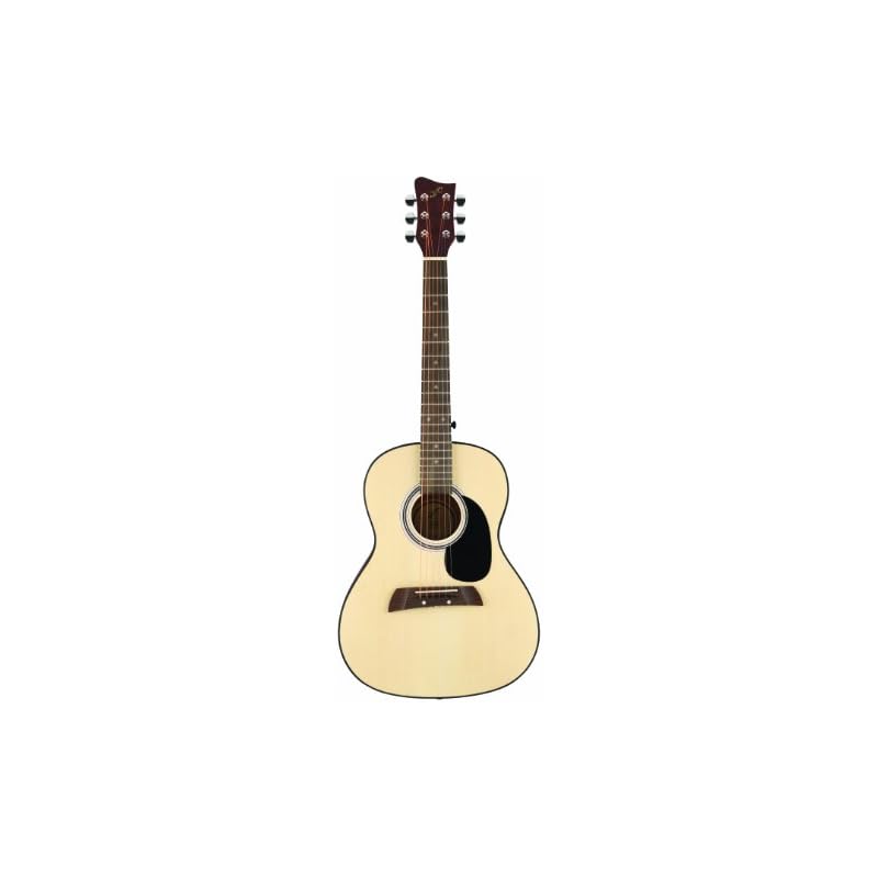 First Act AL363 Adam Levine Acoustic Guitar Pack with Strap & Picks ...