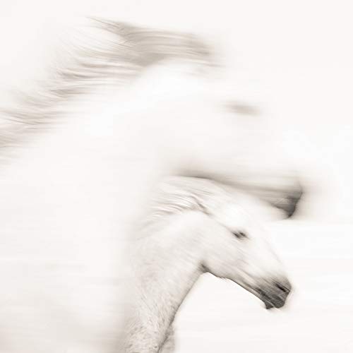 Carys Jones (Gentle 40 x 40cm Canvas