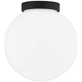 Troy Lighting Ansel - 10 Inch 1 Light Outdoor Wall/Flush Mount