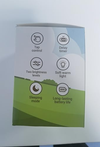 UNEEDE Capybara Night Light, Cute Animal Silicone Nursery Night Light Rechargeable Table Lamp Bedside Lamp with Touch Sensor for Bedrooms, Living Room Squish Capybara Stuff Gifts