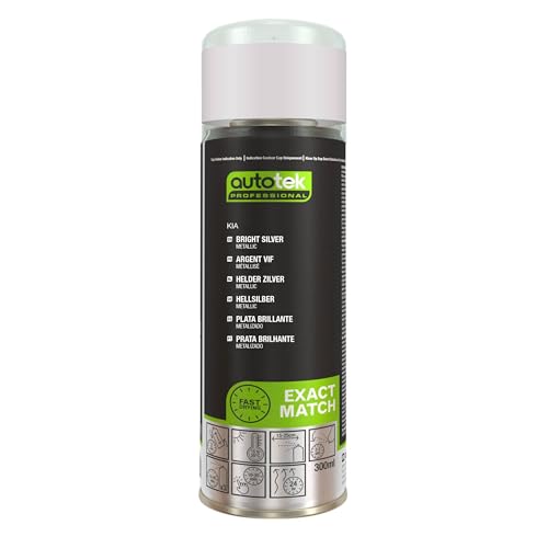 Autotek Professional Exact Match Car Spray Paint, KIA Bright Silver Aerosol Spr…