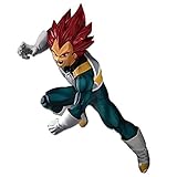 Dragon Ball Super Blood of
